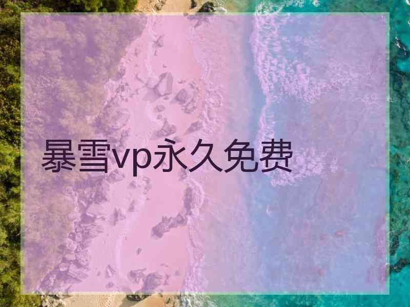 暴雪vp永久免费