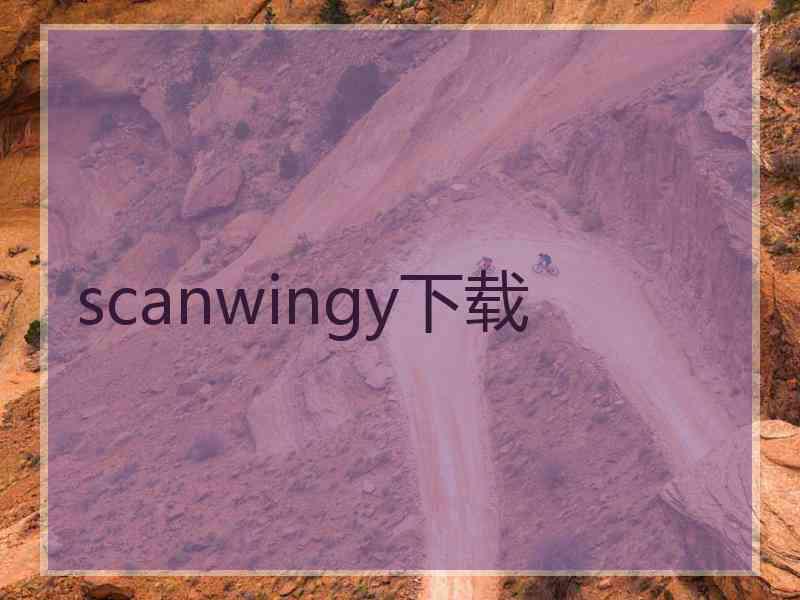 scanwingy下载