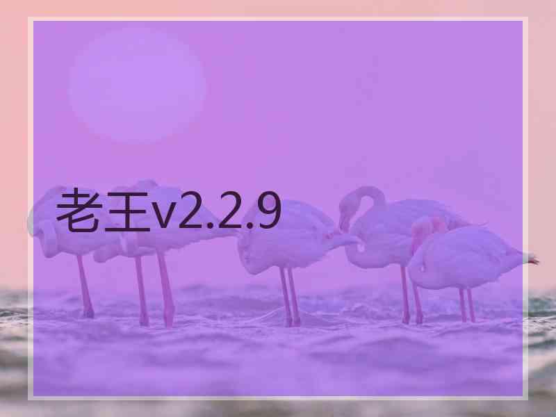 老王v2.2.9