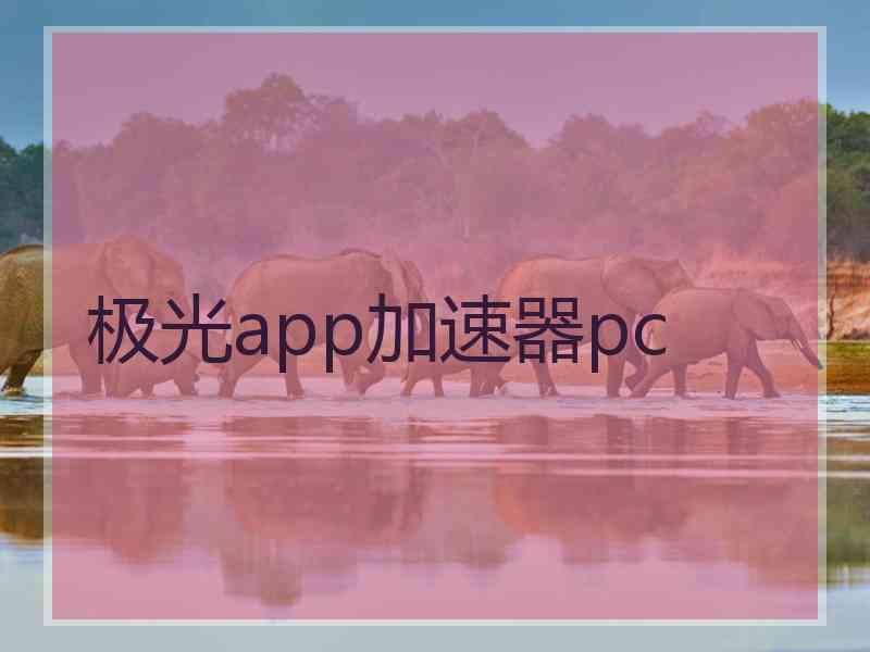 极光app加速器pc