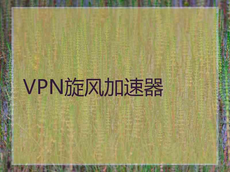 VPN旋风加速器