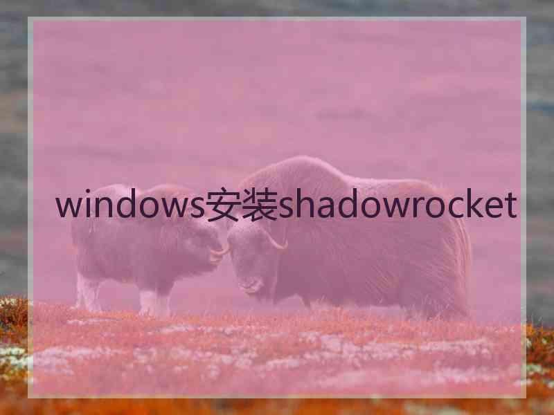 windows安装shadowrocket