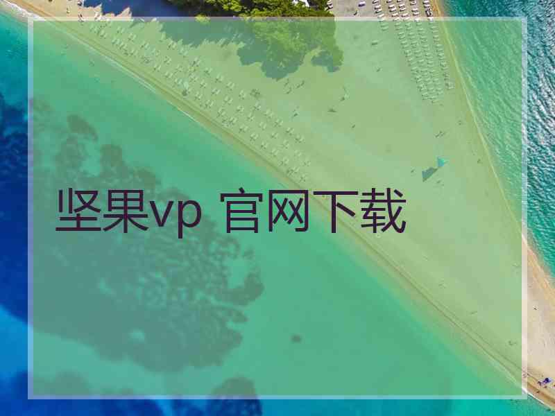 坚果vp 官网下载