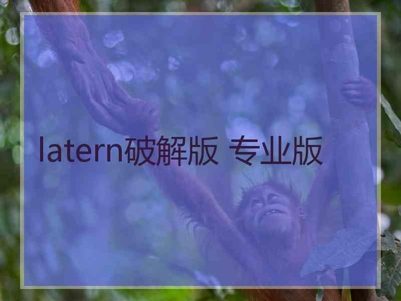 latern破解版 专业版