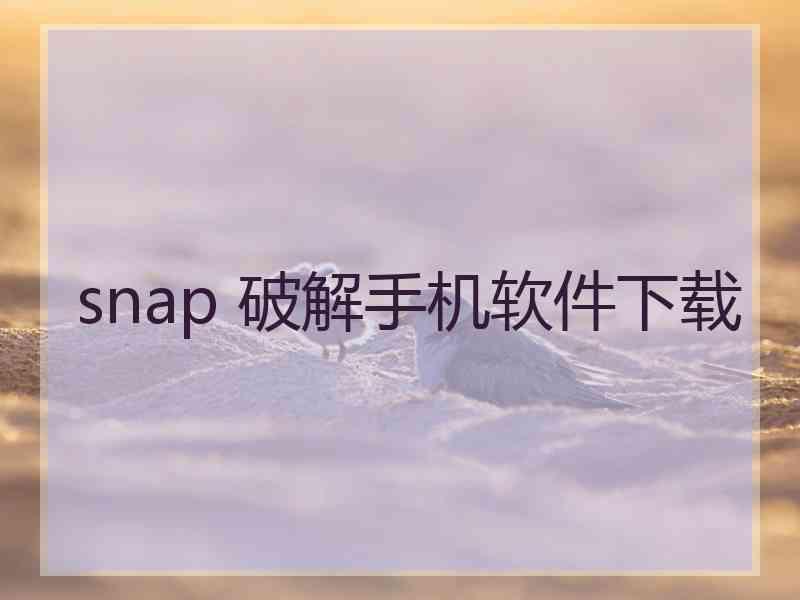 snap 破解手机软件下载