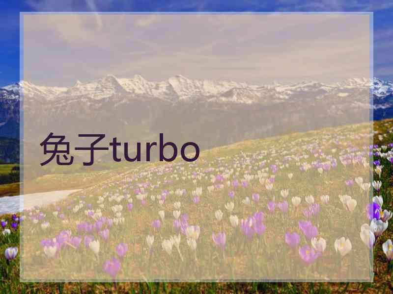 兔子turbo