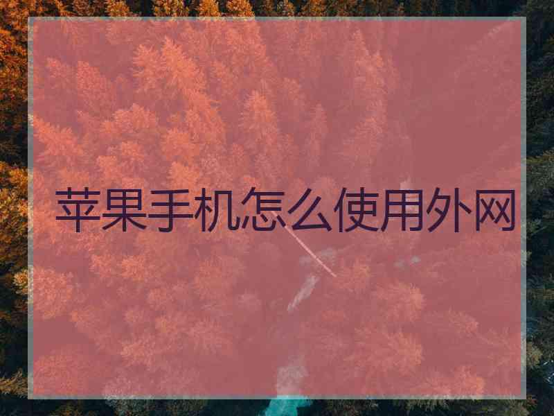 苹果手机怎么使用外网