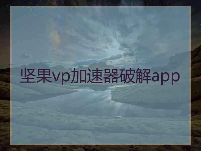 坚果vp加速器破解app