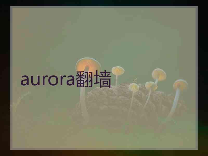 aurora翻墙