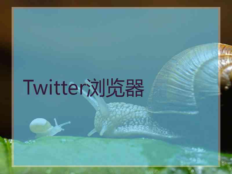 Twitter浏览器