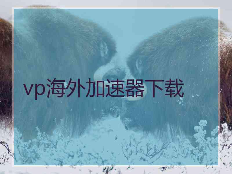 vp海外加速器下载