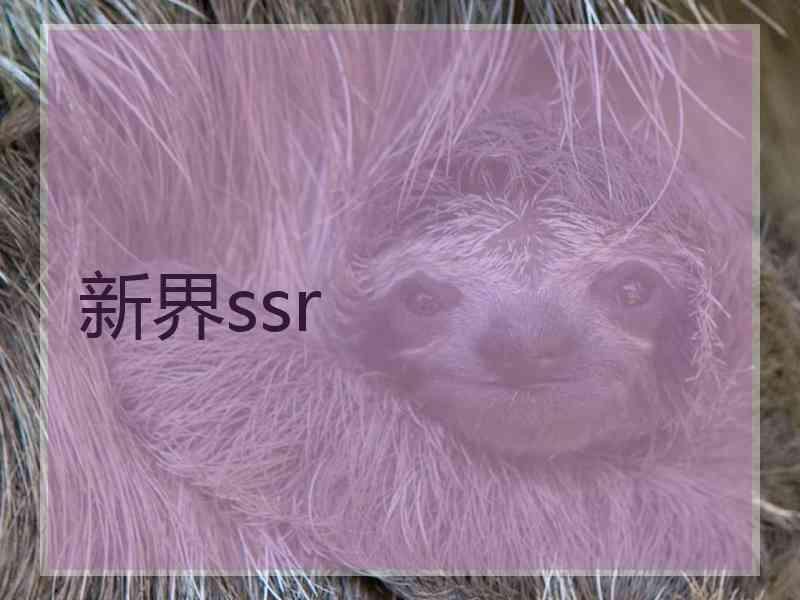 新界ssr