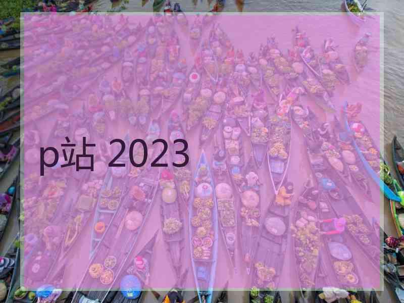 p站 2023