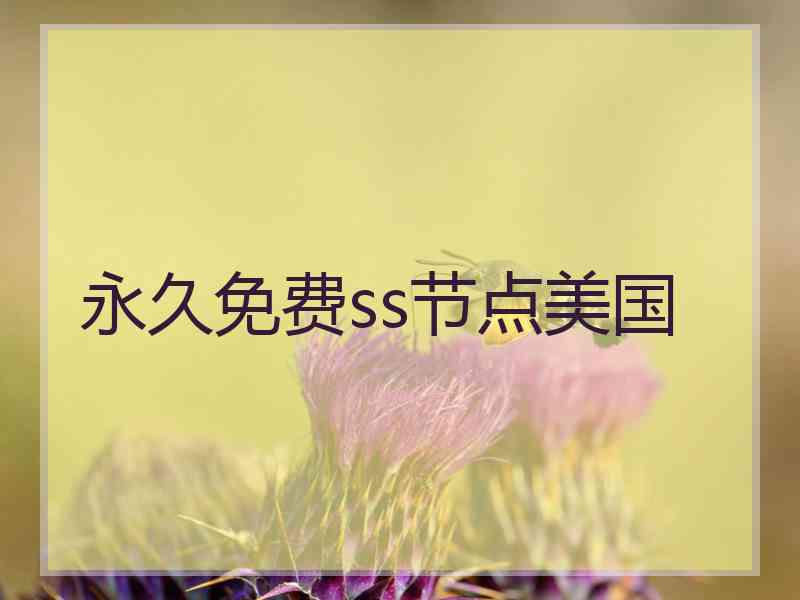 永久免费ss节点美国