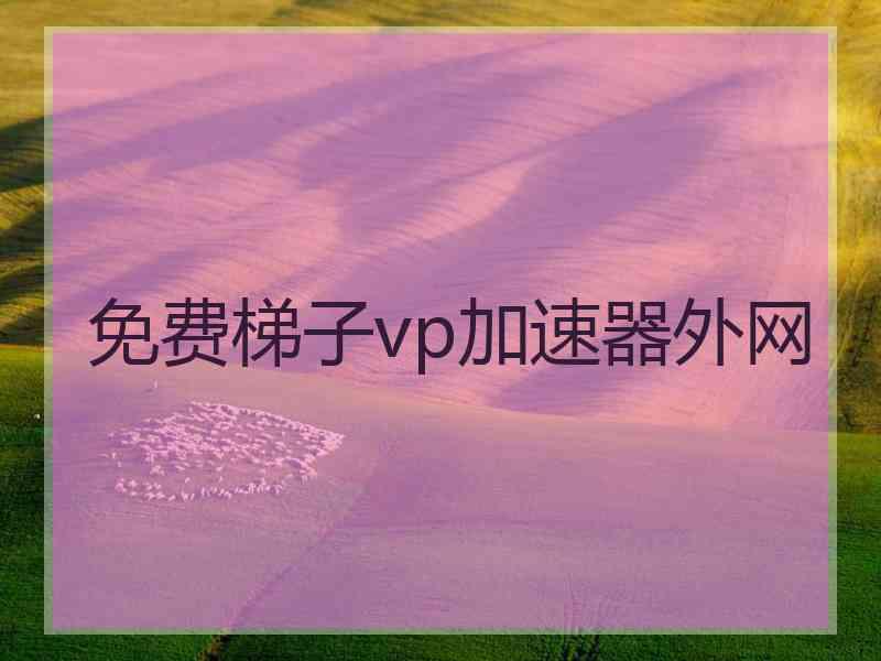 免费梯子vp加速器外网