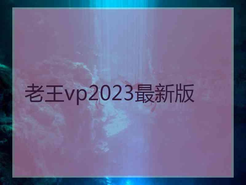 老王vp2023最新版