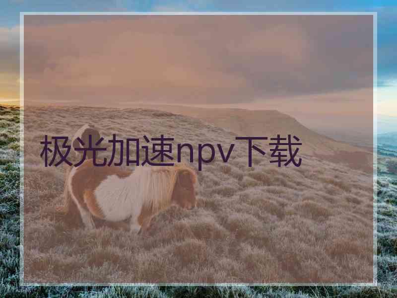 极光加速npv下载