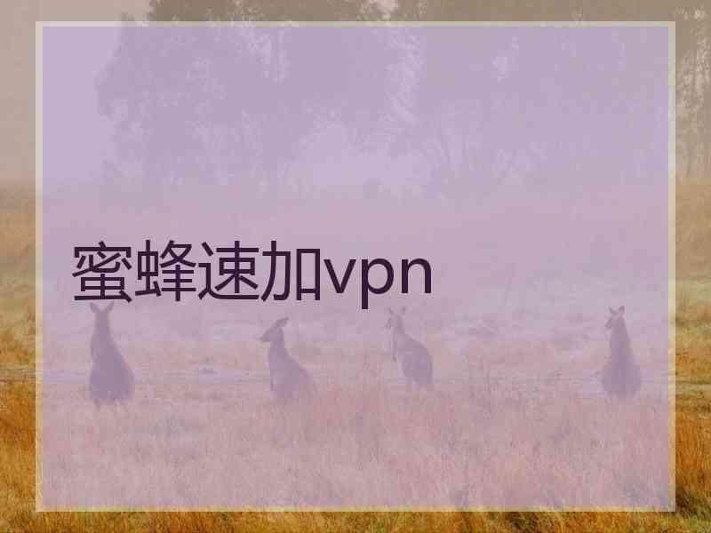 蜜蜂速加vpn