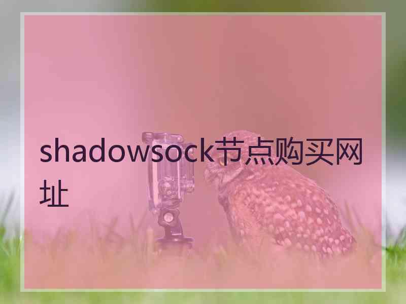 shadowsock节点购买网址