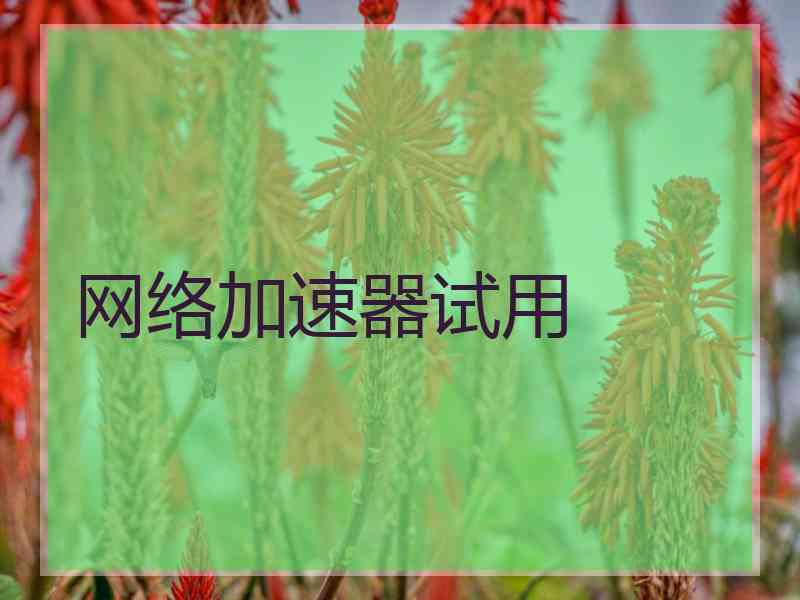 网络加速器试用