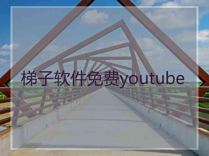 梯子软件免费youtube