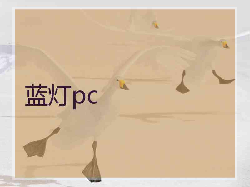 蓝灯pc