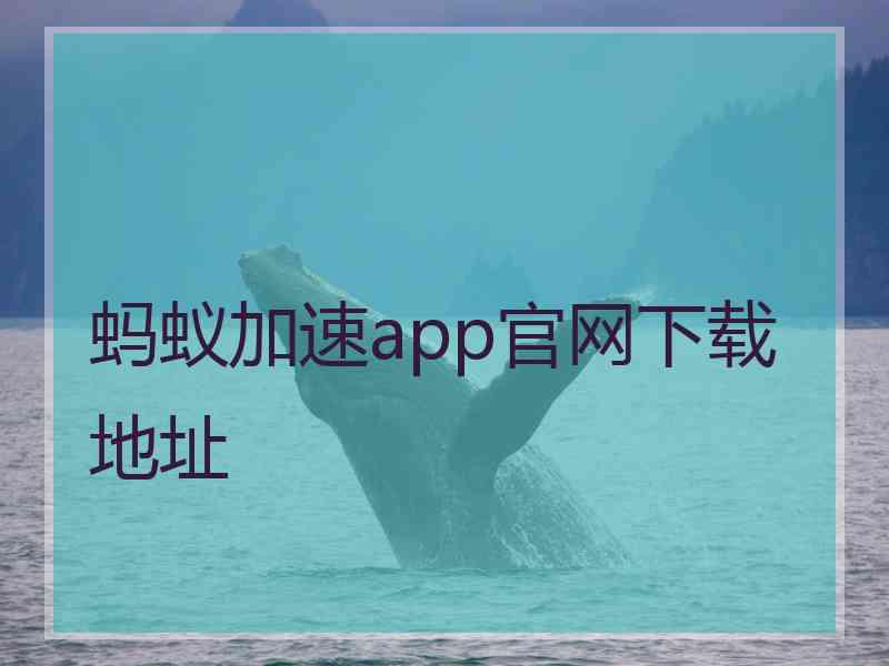 蚂蚁加速app官网下载地址