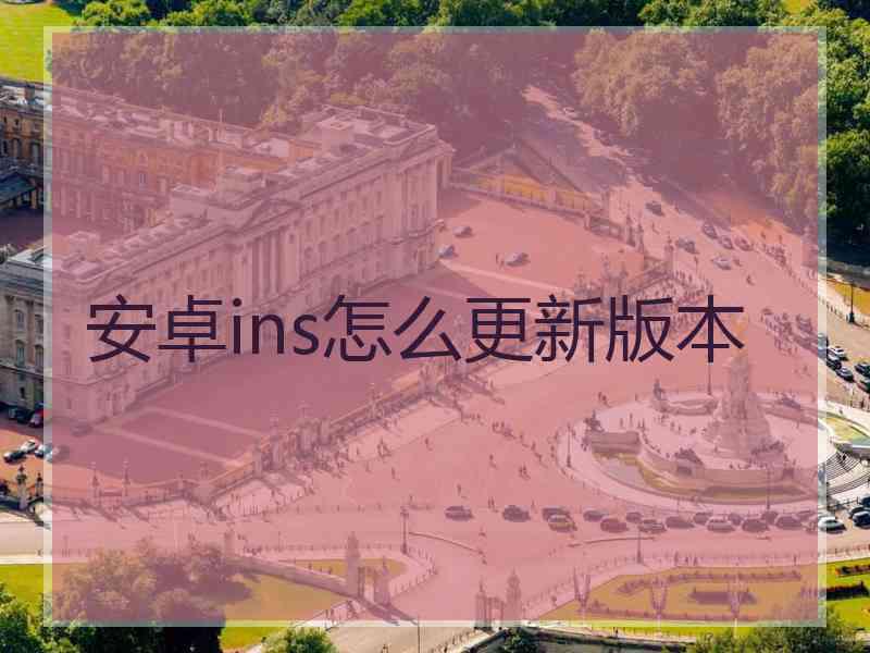 安卓ins怎么更新版本