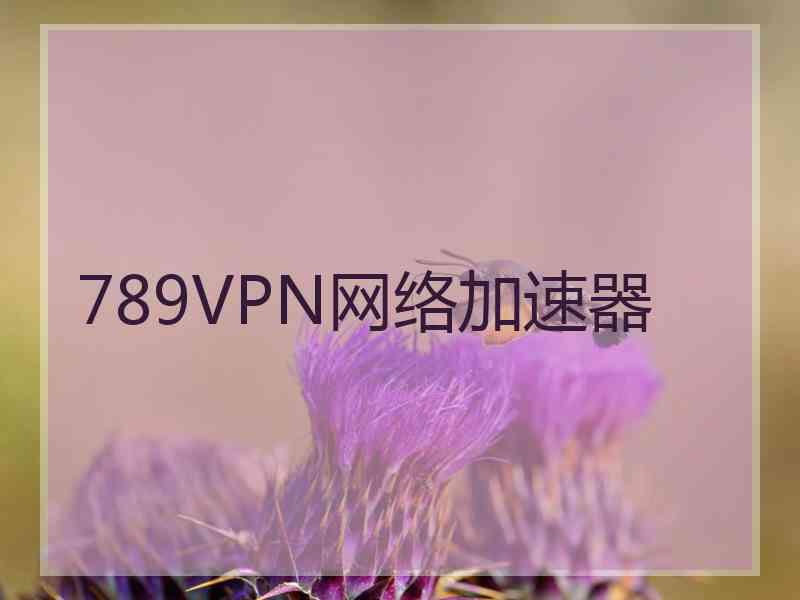 789VPN网络加速器