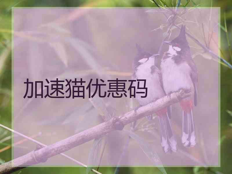 加速猫优惠码