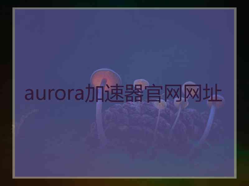 aurora加速器官网网址