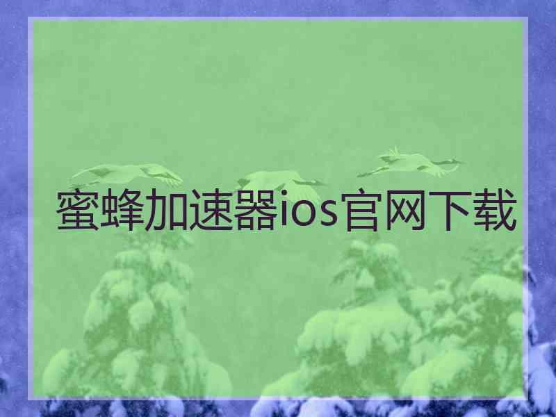 蜜蜂加速器ios官网下载