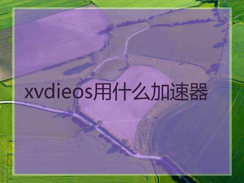 xvdieos用什么加速器