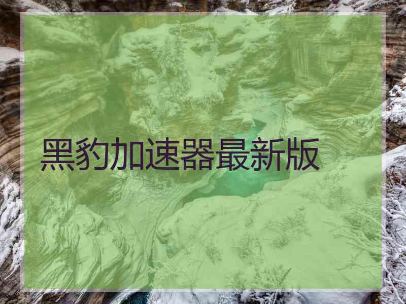 黑豹加速器最新版