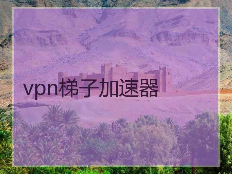 vpn梯子加速器