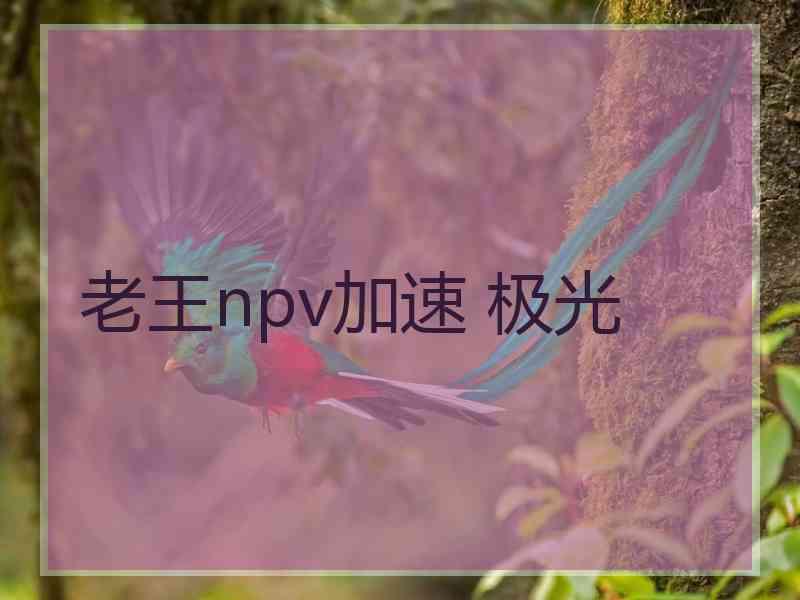 老王npv加速 极光