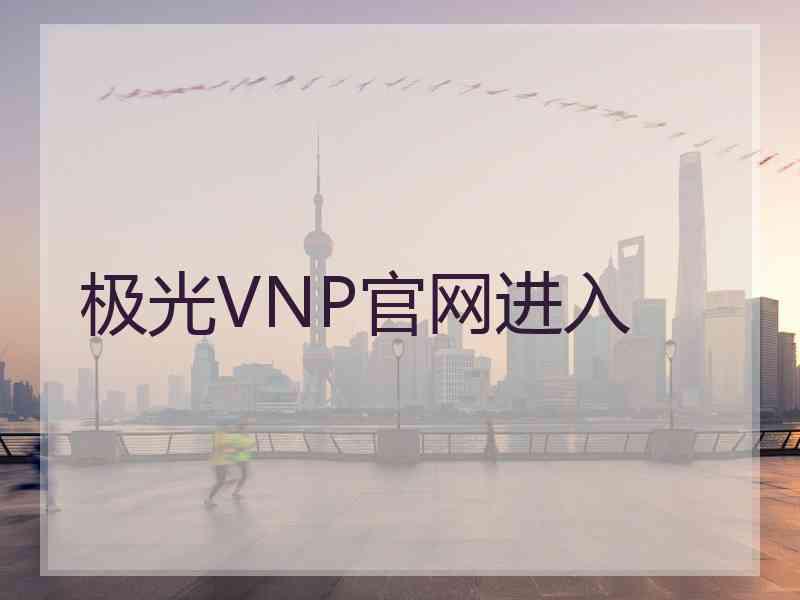 极光VNP官网进入