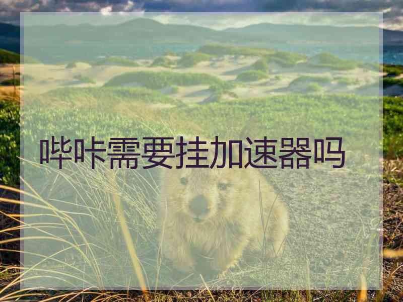 哔咔需要挂加速器吗