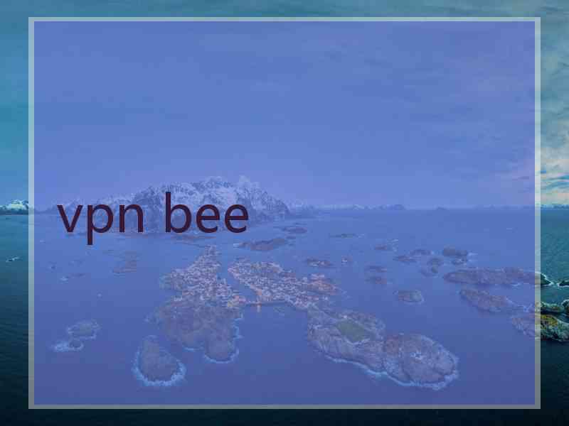 vpn bee