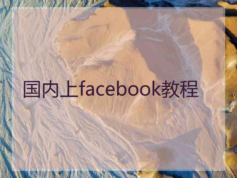 国内上facebook教程