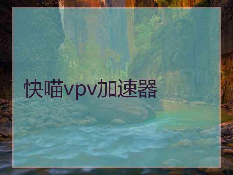 快喵vpv加速器