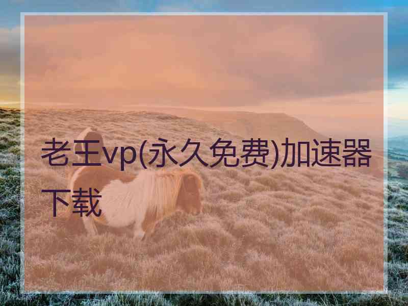 老王vp(永久免费)加速器下载