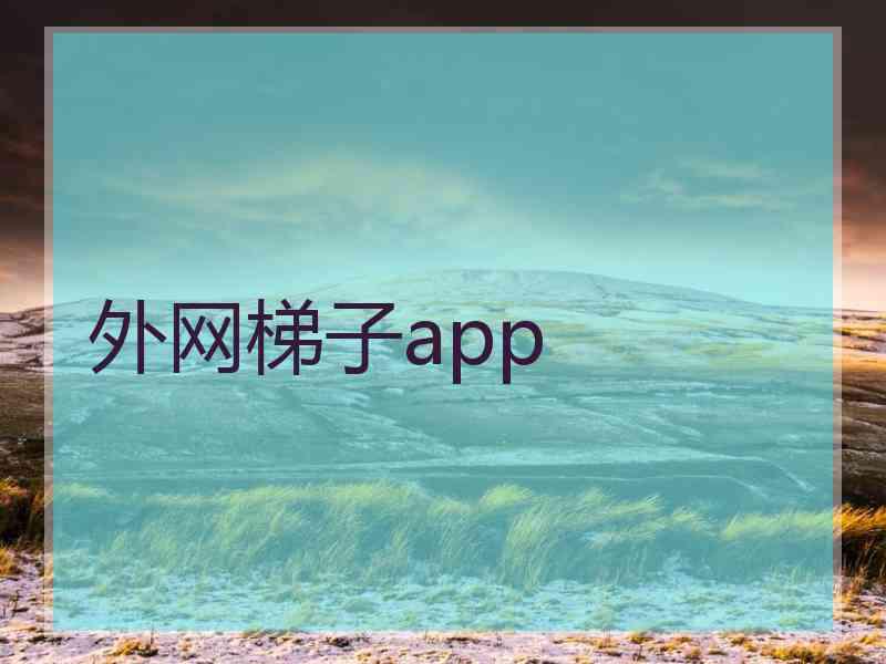 外网梯子app