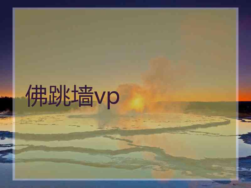 佛跳墙vp