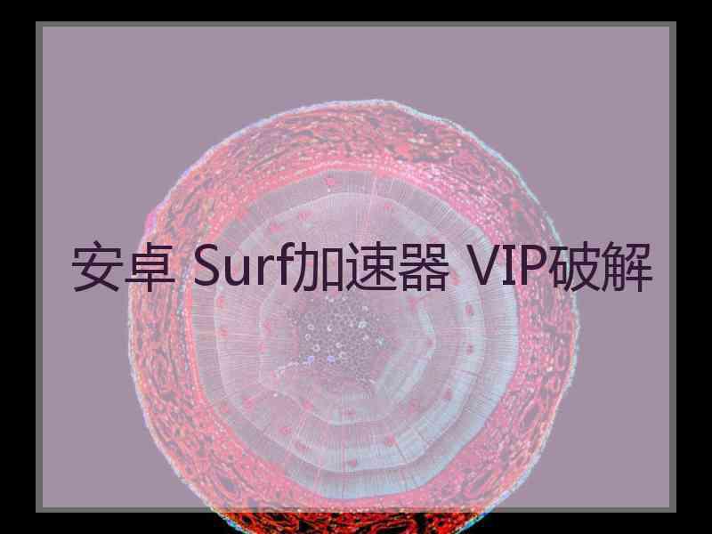 安卓 Surf加速器 VIP破解