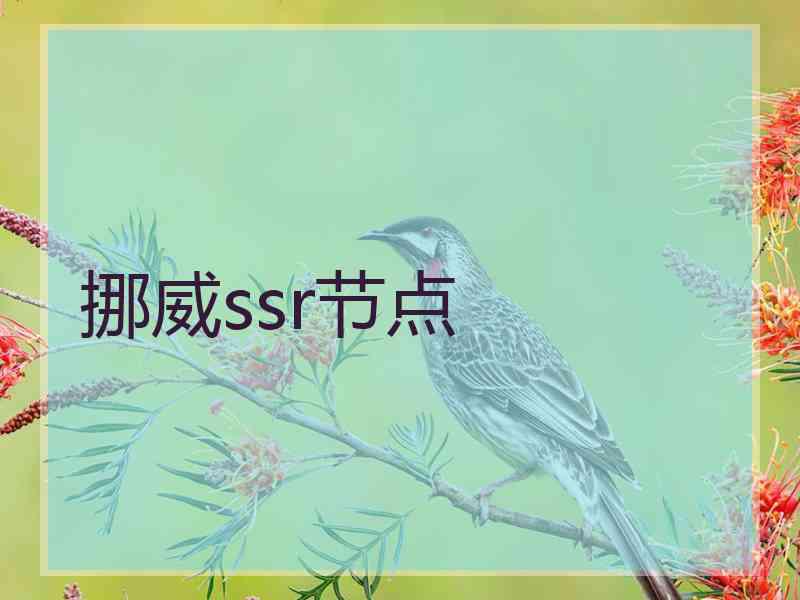 挪威ssr节点