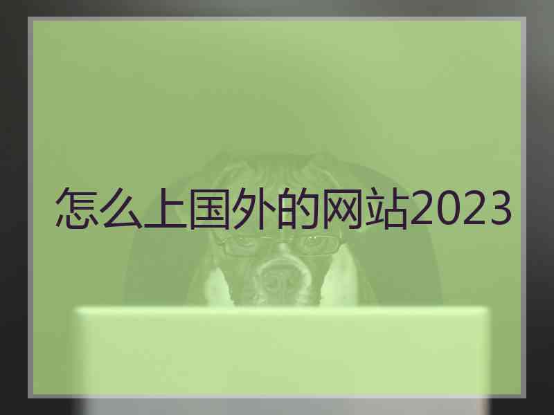 怎么上国外的网站2023