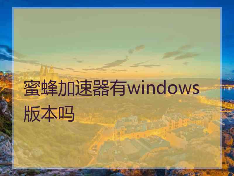 蜜蜂加速器有windows版本吗