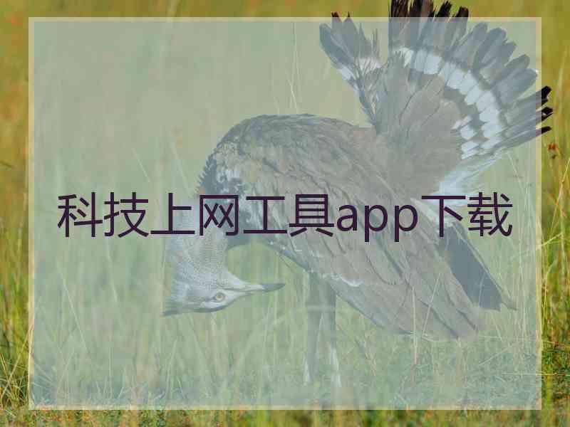 科技上网工具app下载