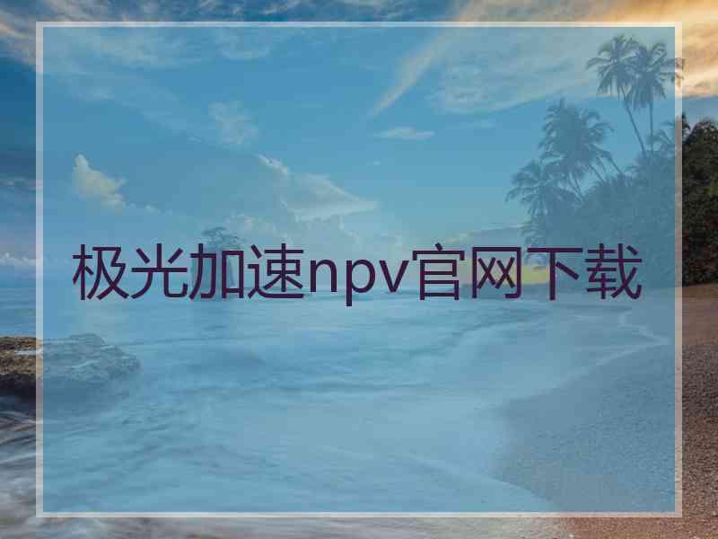 极光加速npv官网下载